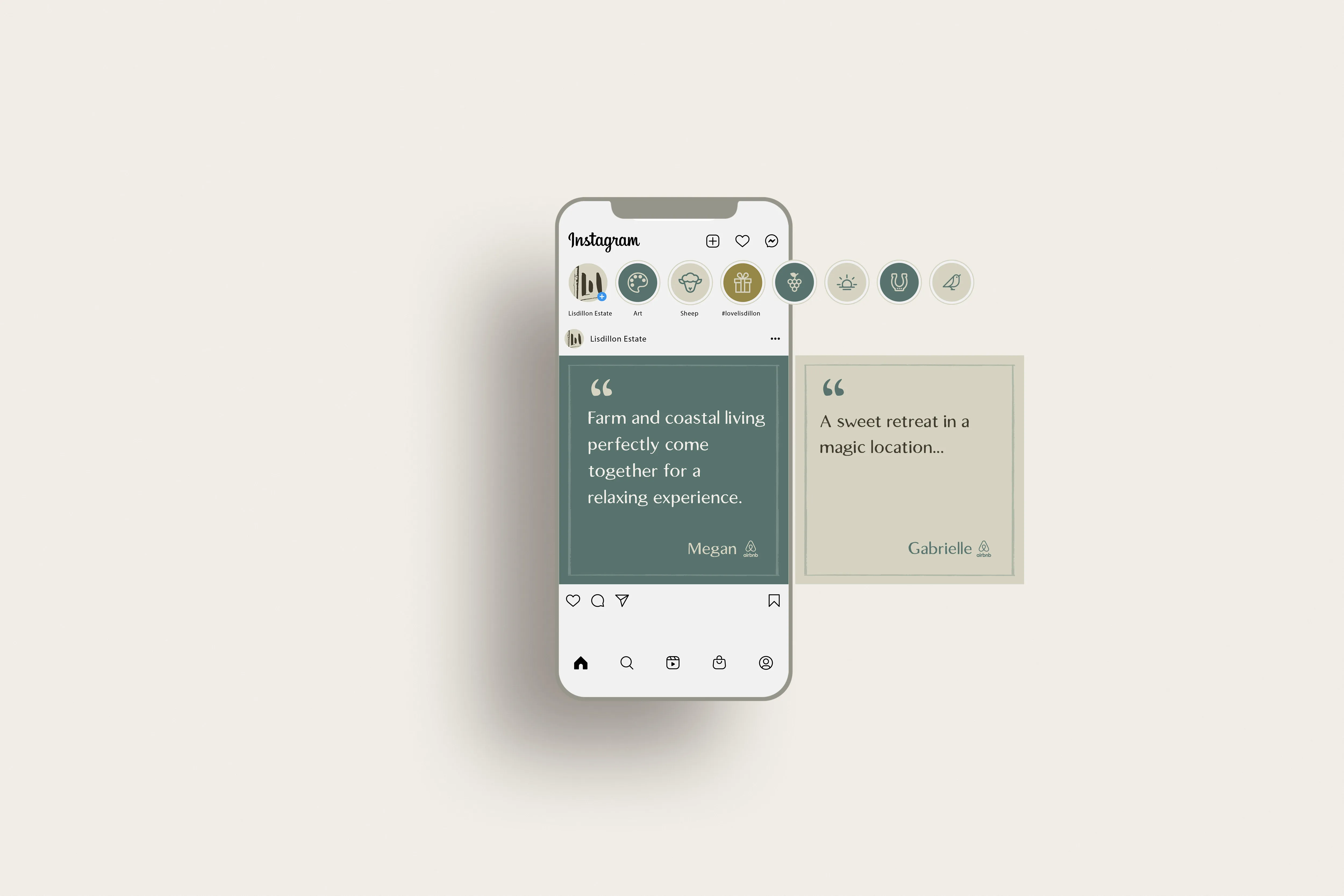 Instagram icons and posts design for Lisdillon Estate