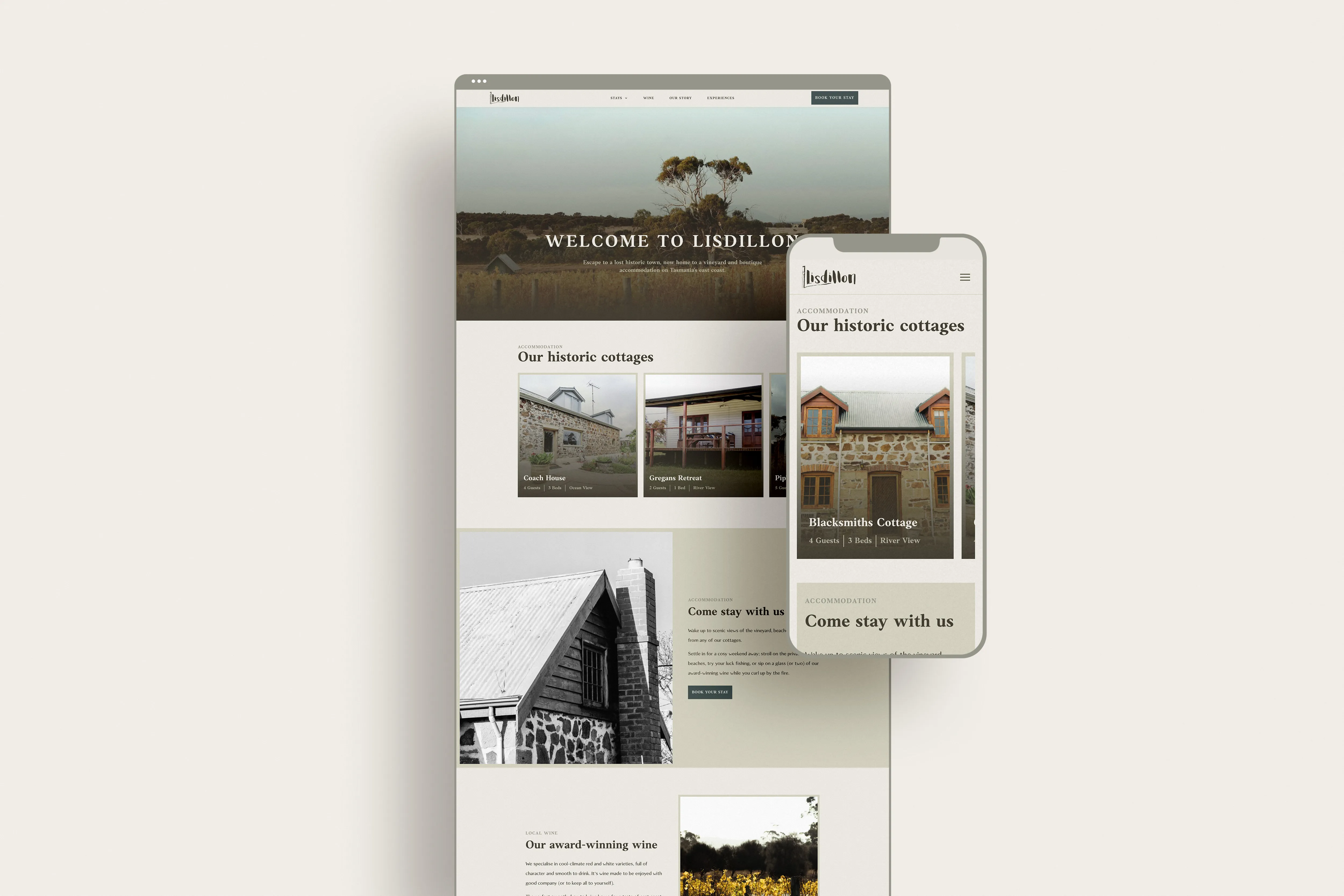 Web design for Lisdillon website home page